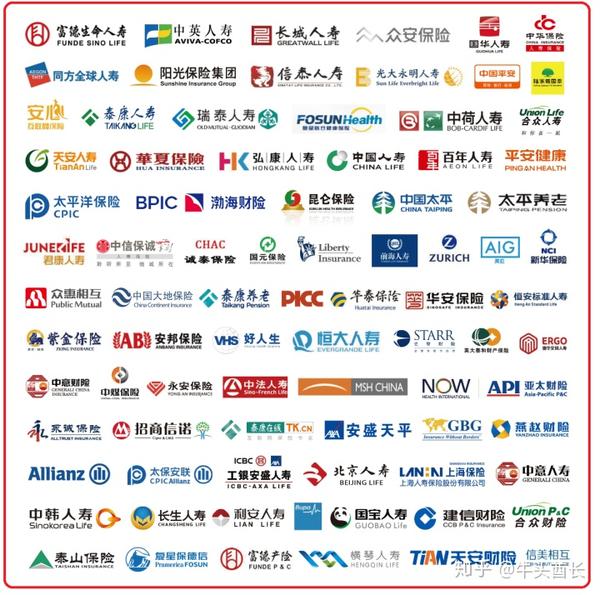 一套宠物定制照片收费