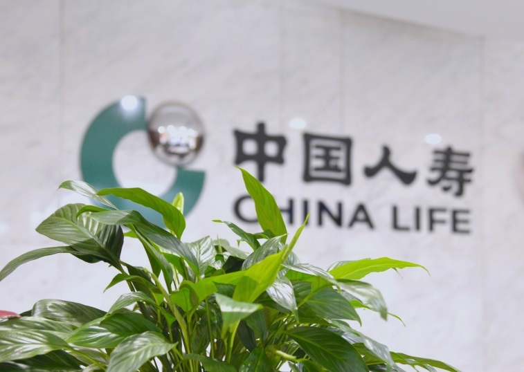 绿水青山间的保险力量